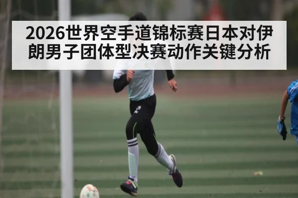 2026世界空手道锦标赛日本对伊朗男子团体型决赛动作关键分析（aiyouxi）