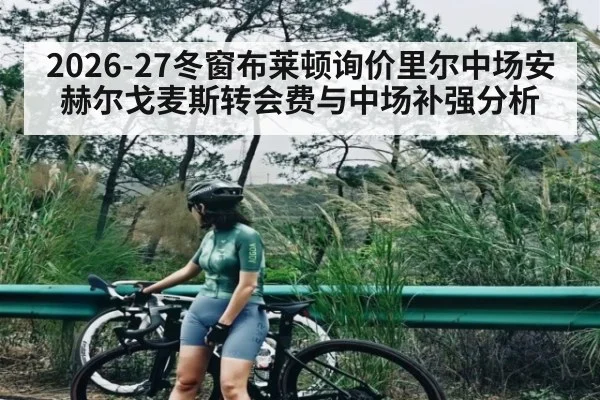 2026-27冬窗布莱顿询价里尔中场安赫尔戈麦斯转会费与中场补强分析（aiyouxi）